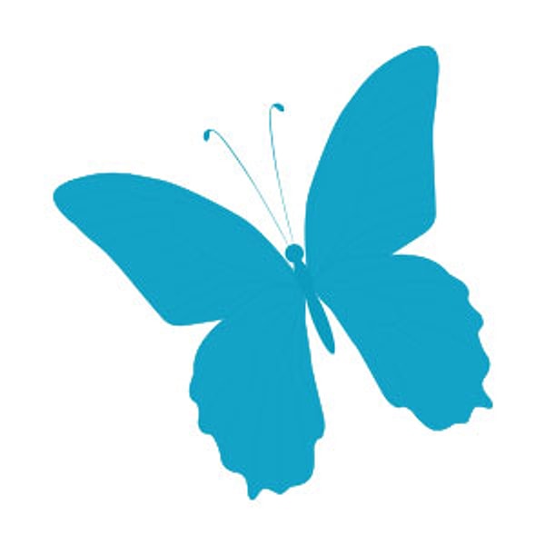 Вы весите около 60 кг!