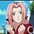 sakurasakura