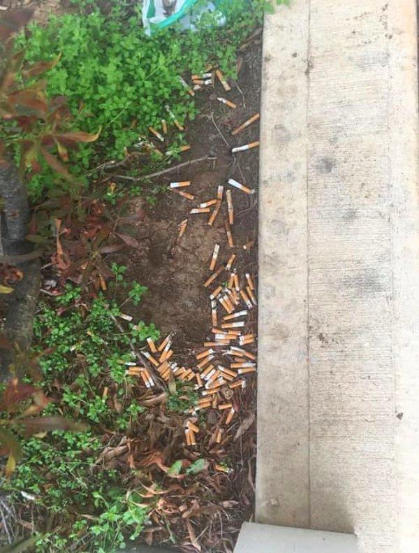 10. Balkonda sigara içip izmaritini bahçeye atan komşu: