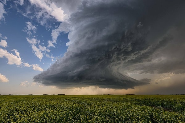 2. Кому принадлежат эти строки: "Люблю грозу в начале мая..."?