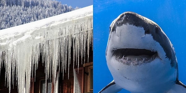 9. Что из этого наиболее опасно?