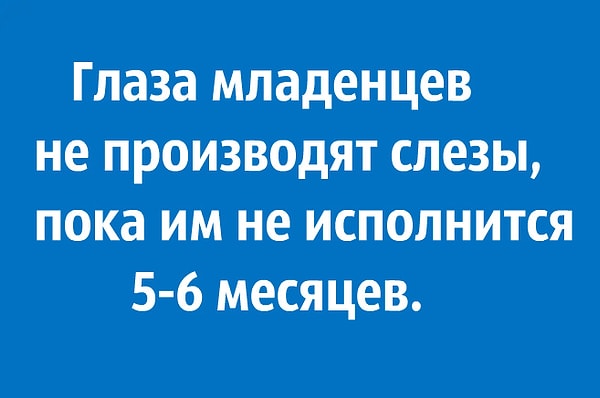 4. Правда или ложь?