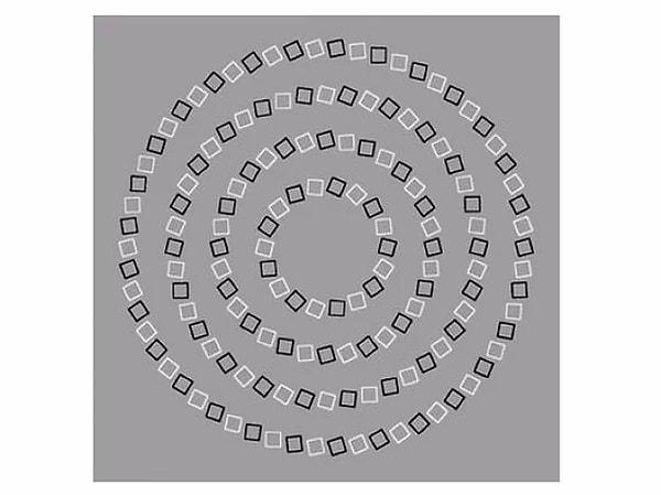 12. Son olarak bu görselde kaç tane çember görüyorsun?