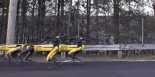 Boston Dynamics'in Robot Köpekleri Şimdi de Kamyon Çekti!