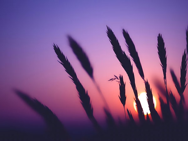 3. Что насчёт этого заката?