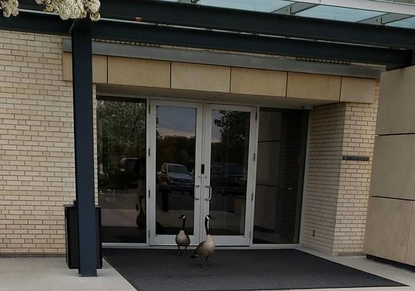 19. Уходим, Валя, здесь нам не рады.