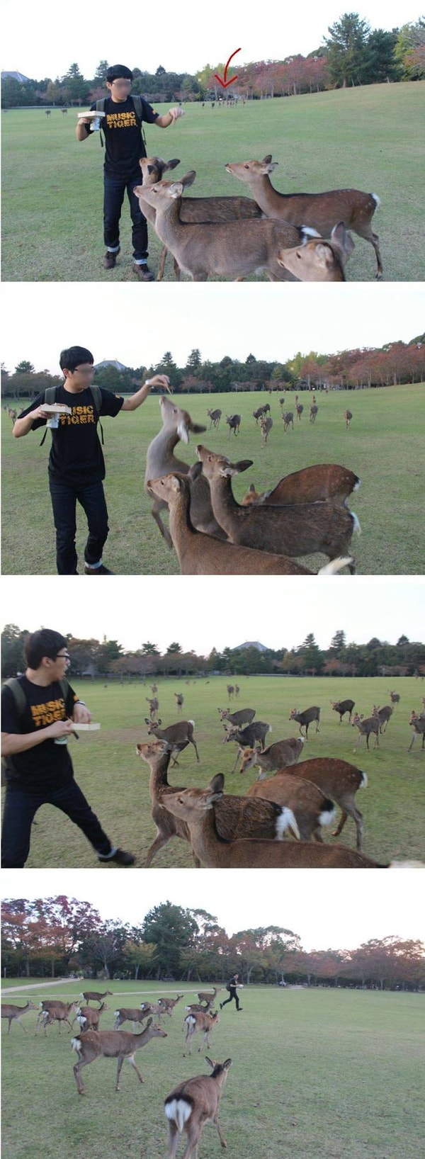 25. Гули, гули, гули!