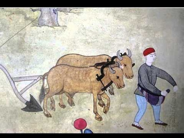 Çiftçi