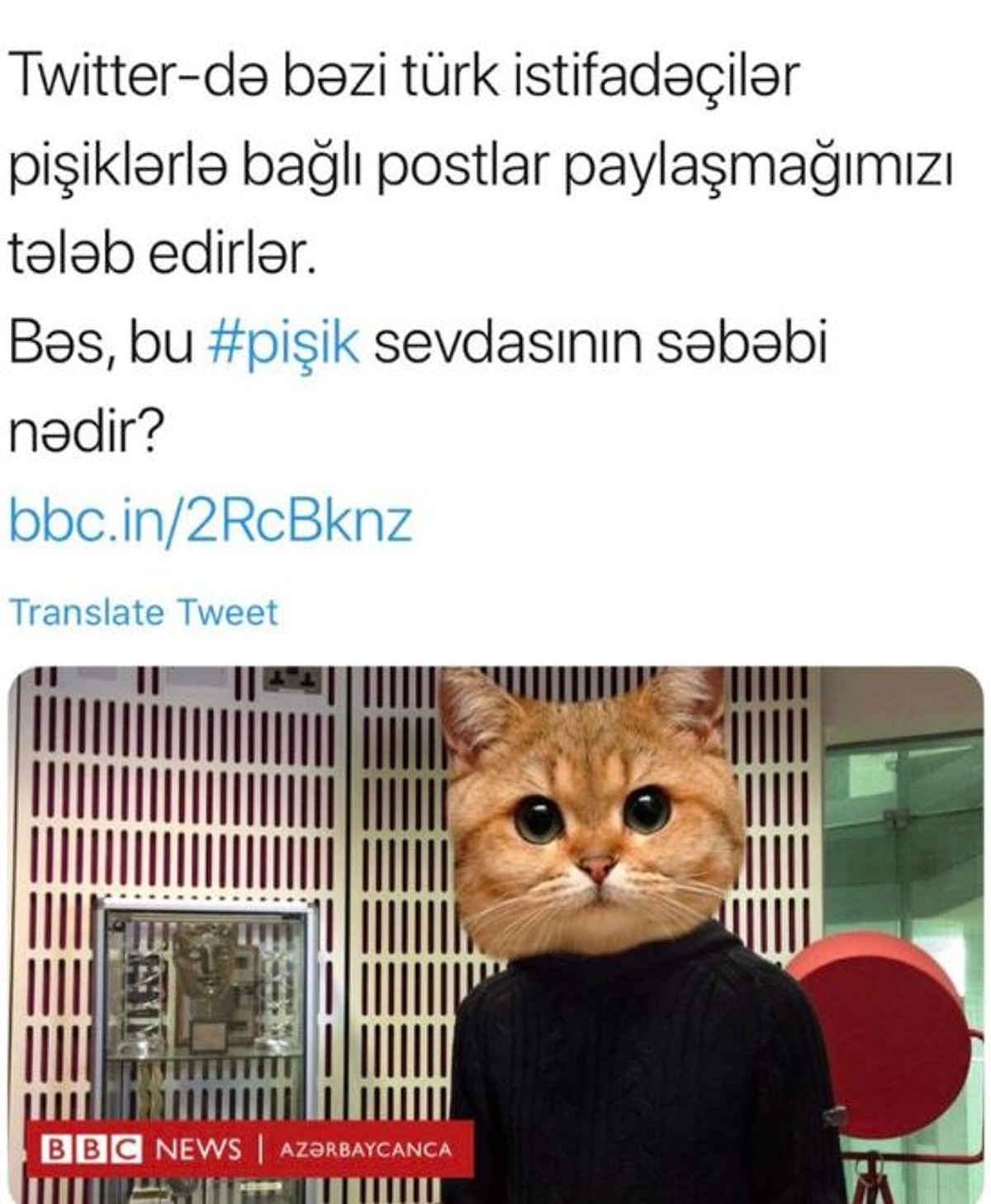 Sen Muhteşem Bir Dilsin! Bozuk Moralleri Bile Anında Düzeltecek Ve ...