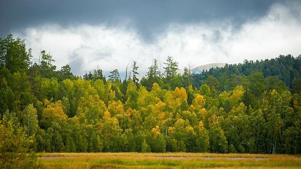11. Этот национальный парк в России находится в пределах крупного города. Как он называется?