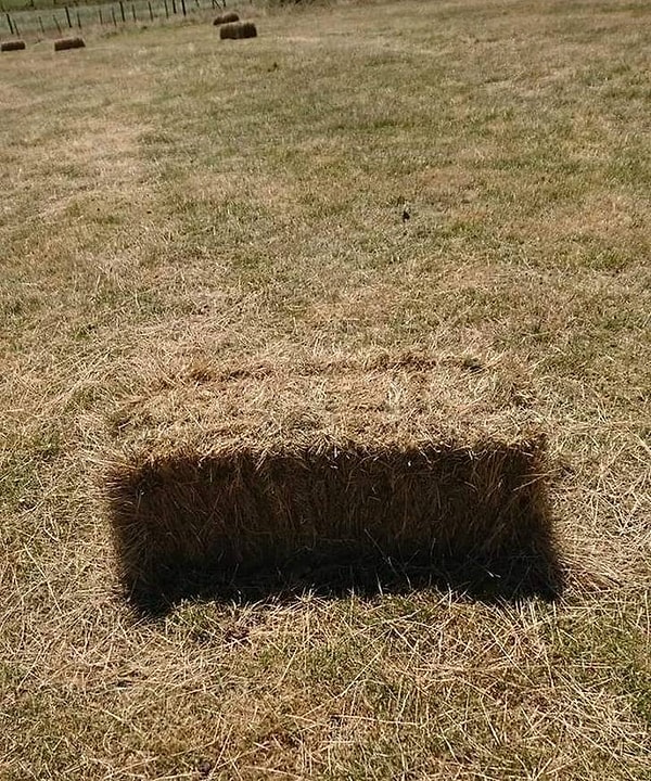 14. Подготовили местечко...