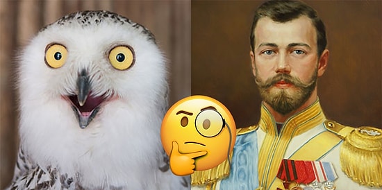 Тест: Если наберете хотя бы 10/13, то  в вашей голове умещается огромное количество знаний