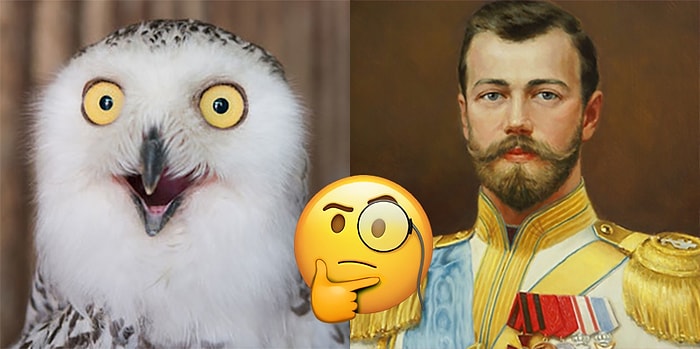 Тест: Если наберете хотя бы 10/13, то  в вашей голове умещается огромное количество знаний