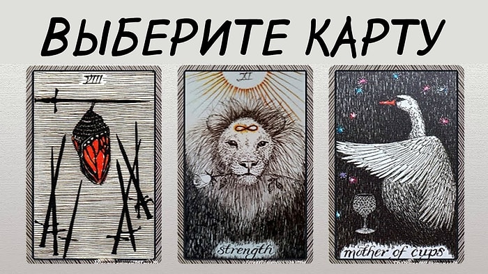 Тест: Выбрав карту Дикого Таро, вы узнаете, какое послание приготовила для вас Вселенная