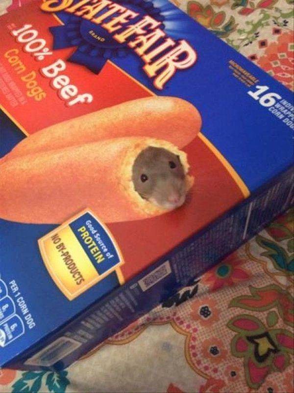 6. Тут всё уже съедено, приятель.