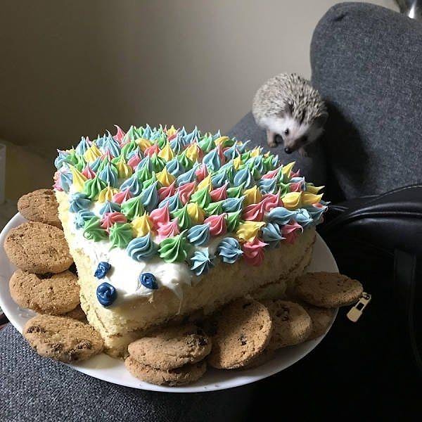 32. На что это они намекают?