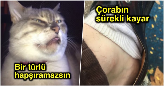 Küçük Çaplı Olmalarına Rağmen Duvarlara Kafa Attıracak Kadar İnsanın Ruhunu Emen 21 Durum