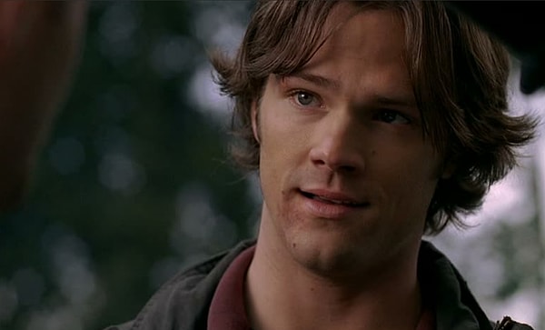 2. Кстати, ходят слухи, что по его прическе можно определить сезон. Справитесь?