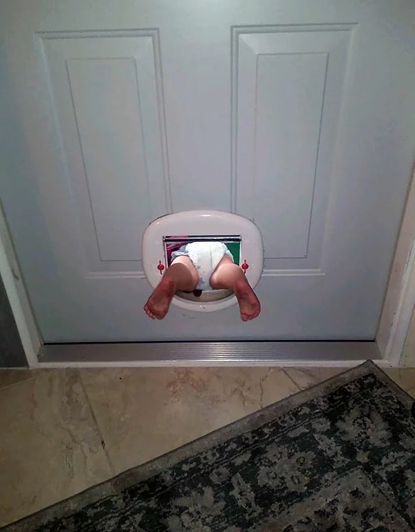 19. «Сегодня племяшка обнаружила кошачью дверь»