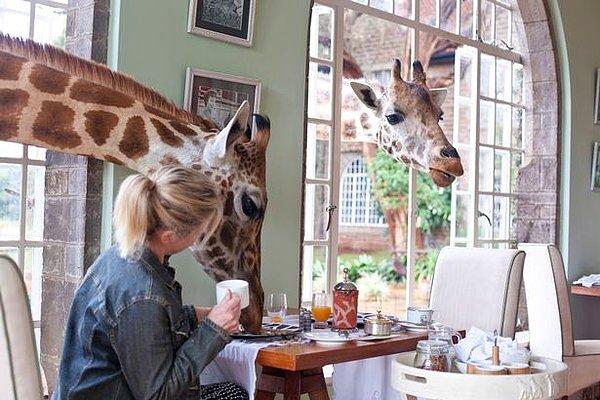 2. Giraffe Manor, Nairobi, Kenya