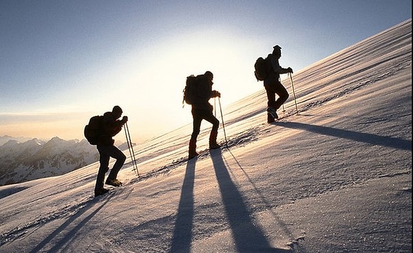 Ваше лучшее качество - настойчивость 👍