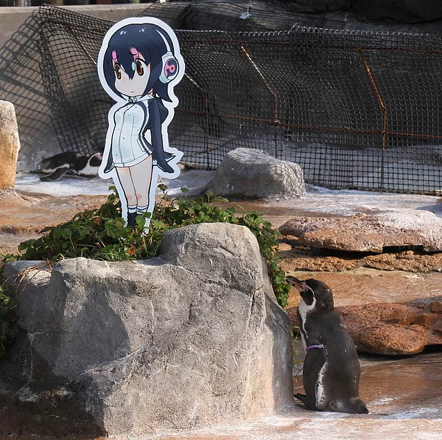 Anime karakterine aÅÄ±k olan penguen