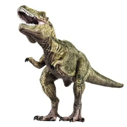 T-Rex ile insan ırkının var oluşu arasındaki yıl sayısı, stegosaurus ile T-Rex arasındaki yıldan daha az!