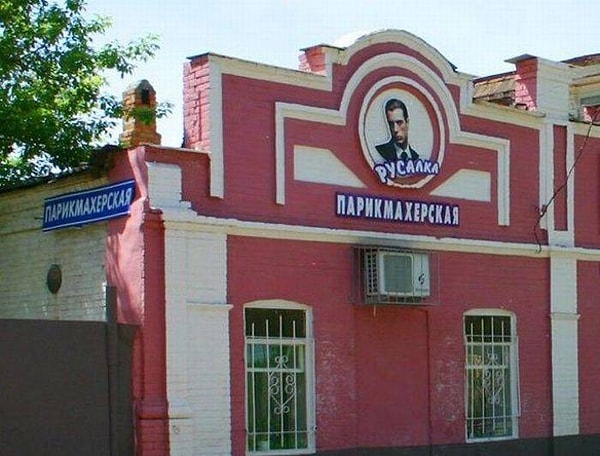 16. Скорее, дельфин