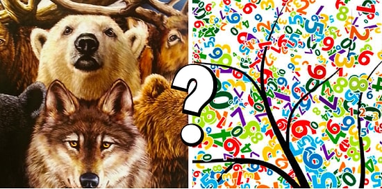 Тест: Вы выбираете животных, а мы рассказываем, какое число - ваше счастливое