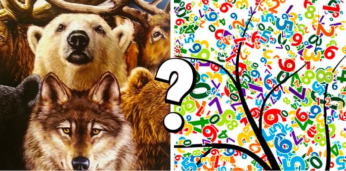 Тест: Вы выбираете животных, а мы рассказываем, какое число - ваше счастливое