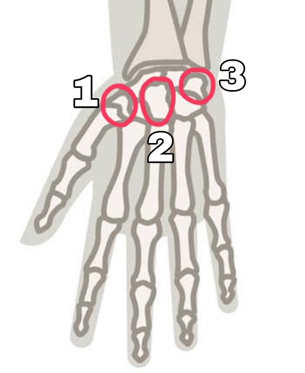 8. Кость-трапецию найдете?