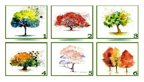 Итак, какое дерево вам приглянулось?