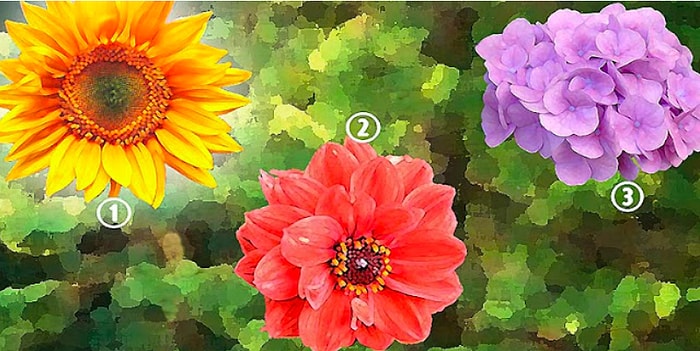 Тест: Выберите цветок, а мы расскажем всё о вашей жизни