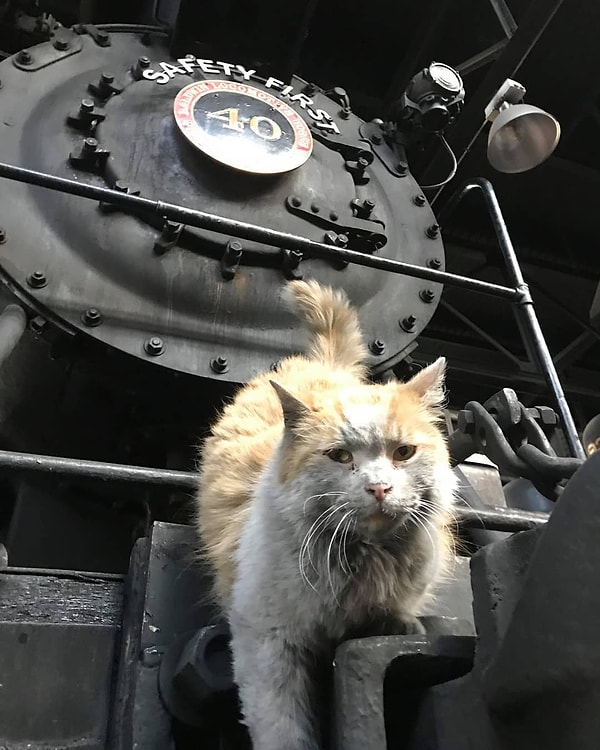 6. Благодаря чему она и получила это имя