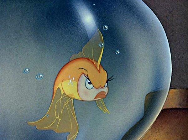 8. Pinokyo çizgi filminde Geppetto balığı Cleo'yu yemek için tasarılar yapıyor...