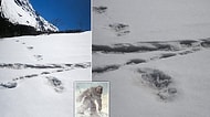 Hindistan Ordusu Resmi Twitter Hesabından Himalayalar'da Bulduğu 'Yeti Koca Ayak' İzlerini Paylaştı!