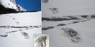 Hindistan Ordusu Resmi Twitter Hesabından Himalayalar'da Bulduğu 'Yeti Koca Ayak' İzlerini Paylaştı!