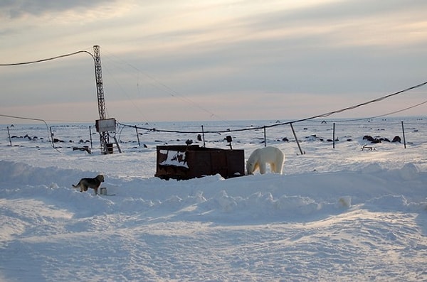 7. А помните ли вы название Северной земли до 1926 года?