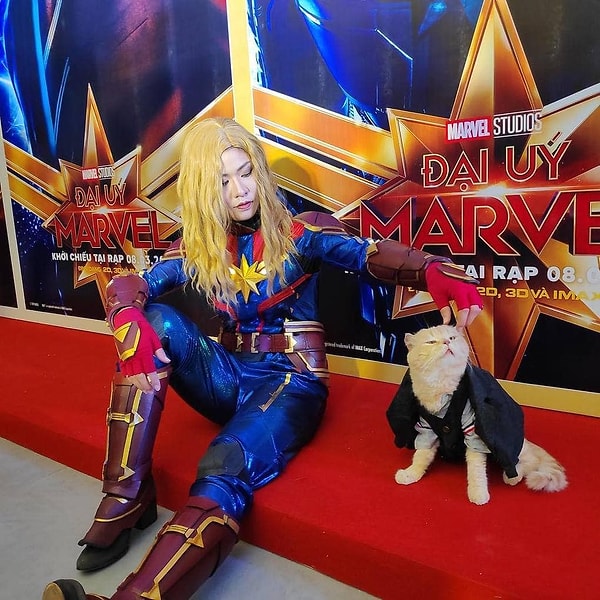 1. Этого кота зовут Чо. Он известен тем, что частенько примеряет на себя различные костюмы