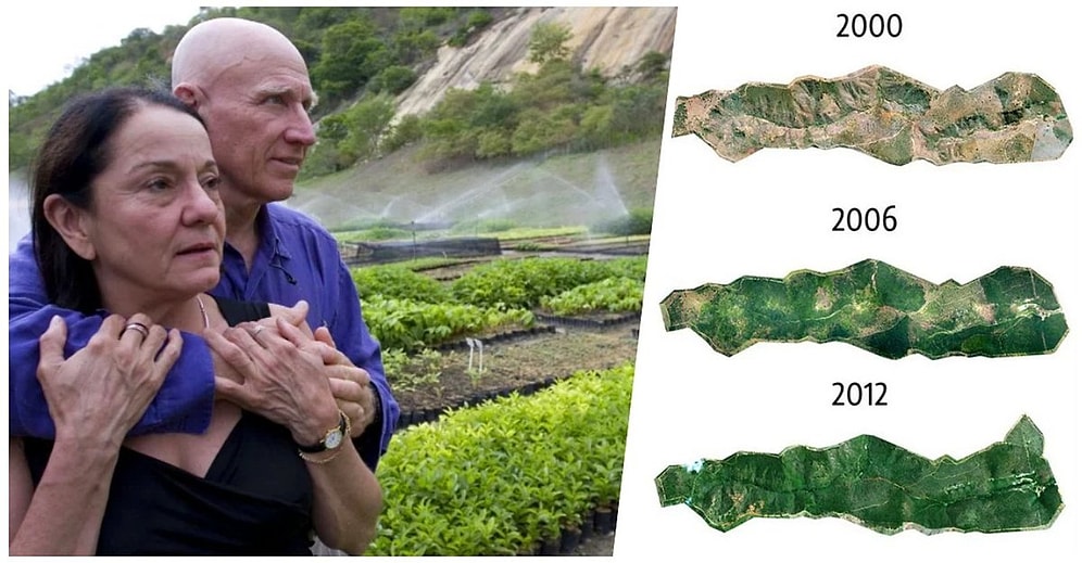 Yirmi Yıl Boyunca Milyonlarca Ağaç Dikerek Ölü Bir Ormanı Hayata Döndüren Brezilyalı Çift