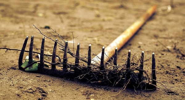 11. Укажите верную форму родительного падежа множественного числа: