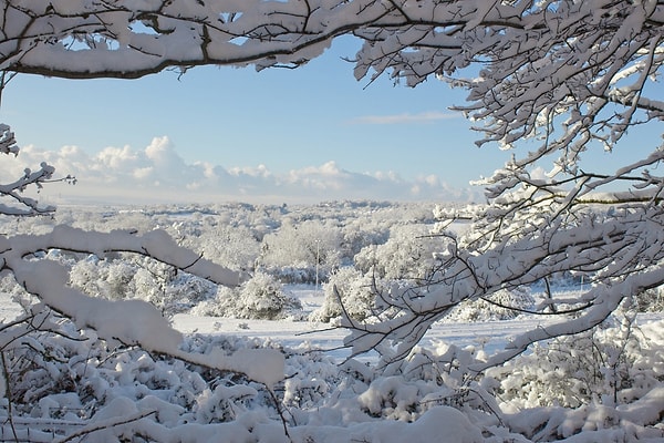 6. В какой стране Европы самые большие снежные поля?