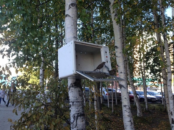 2. Зато не в ипотеку 😂