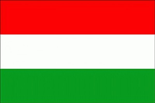 4. Флаг какой страны представлен на фото?