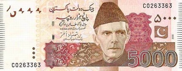 8. А какой валютой производят внутренние расчёты пакистанцы?