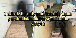 Acayip Bilgiler Kuşağında Bu Hafta: Aşırı Kafa Açıcı 20 Garip Gerçek