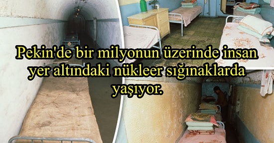 Acayip Bilgiler Kuşağında Bu Hafta: Aşırı Kafa Açıcı 20 Garip Gerçek