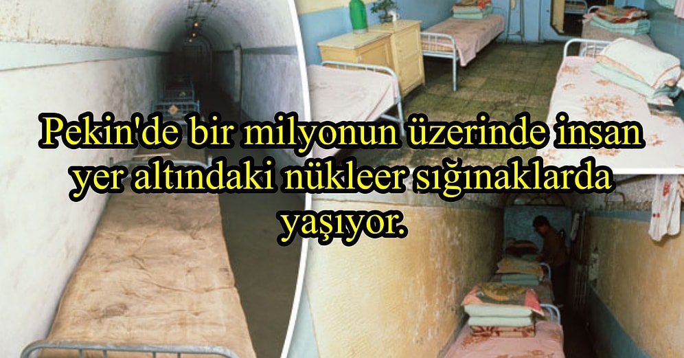 Acayip Bilgiler Kuşağında Bu Hafta: Aşırı Kafa Açıcı 20 Garip Gerçek