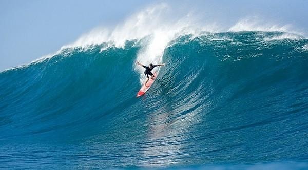 Серфингист