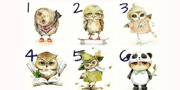 Итак, какая сова вам нравится больше?